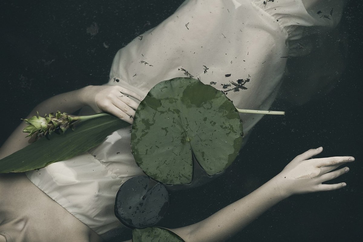 Monia Merlo фотограф