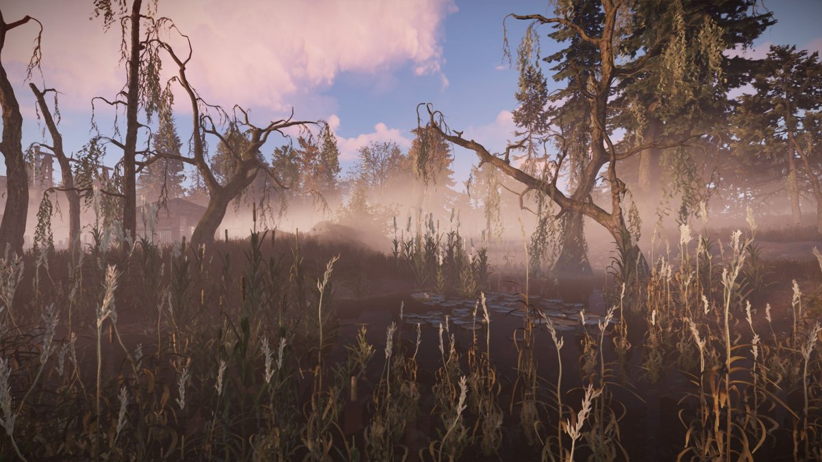 Rust болото