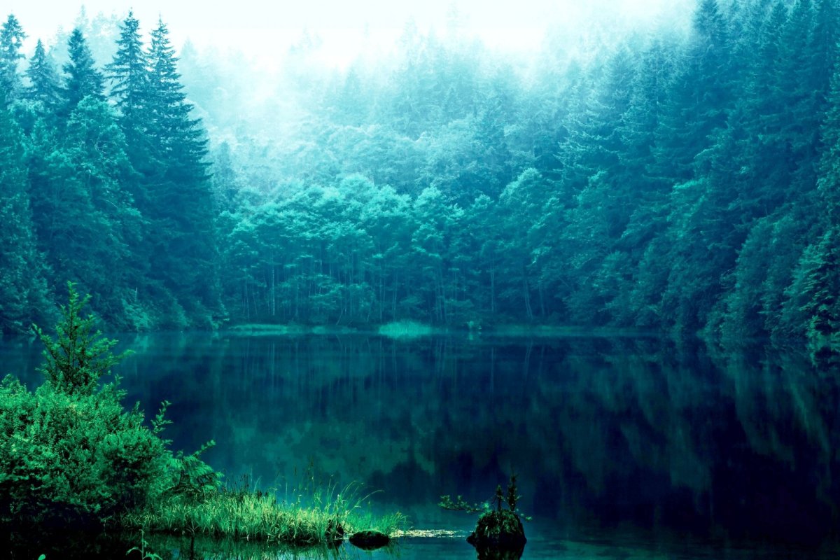 Лесное озеро (Forest Lake)