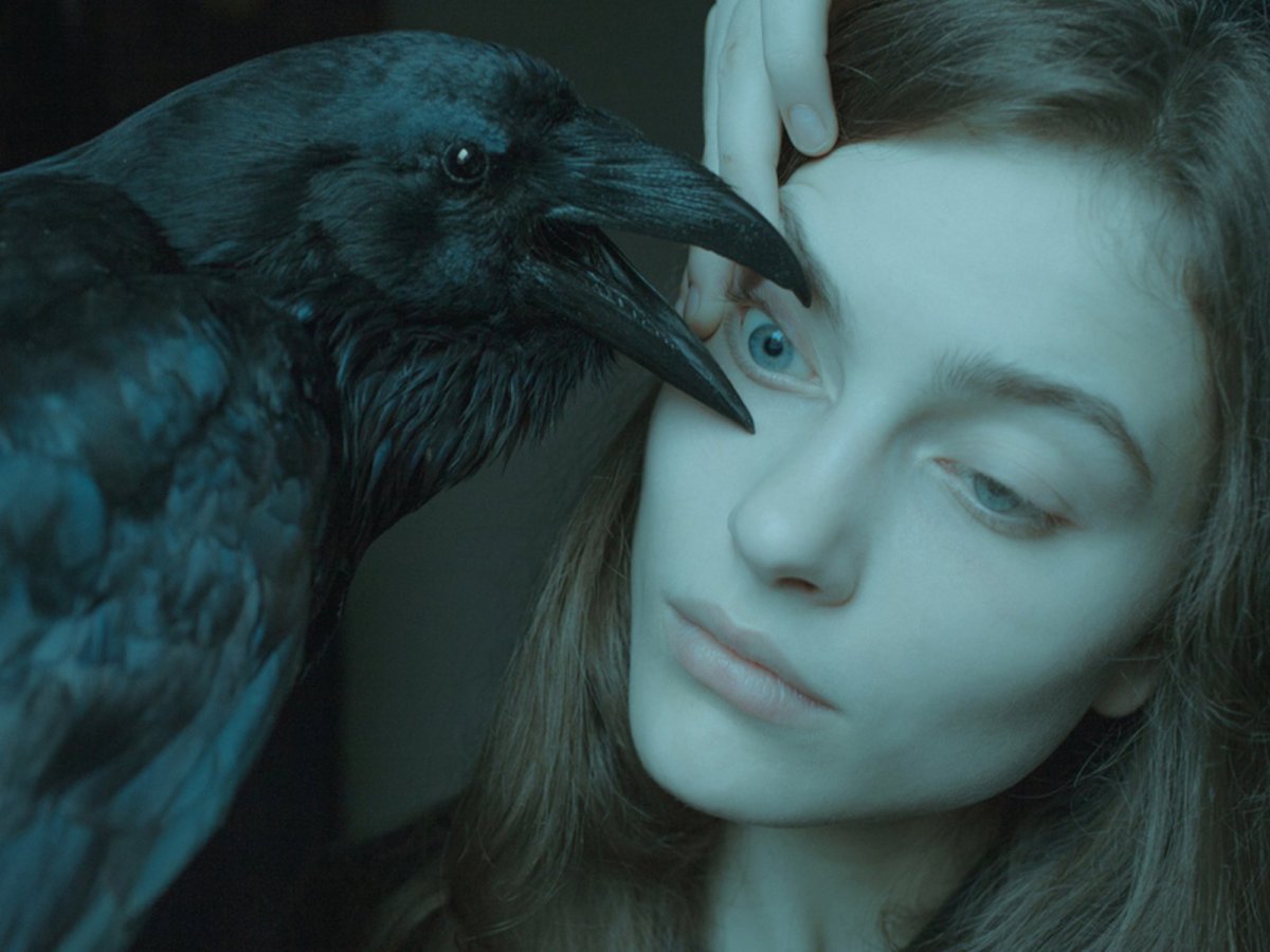 Laura Makabresku птицы