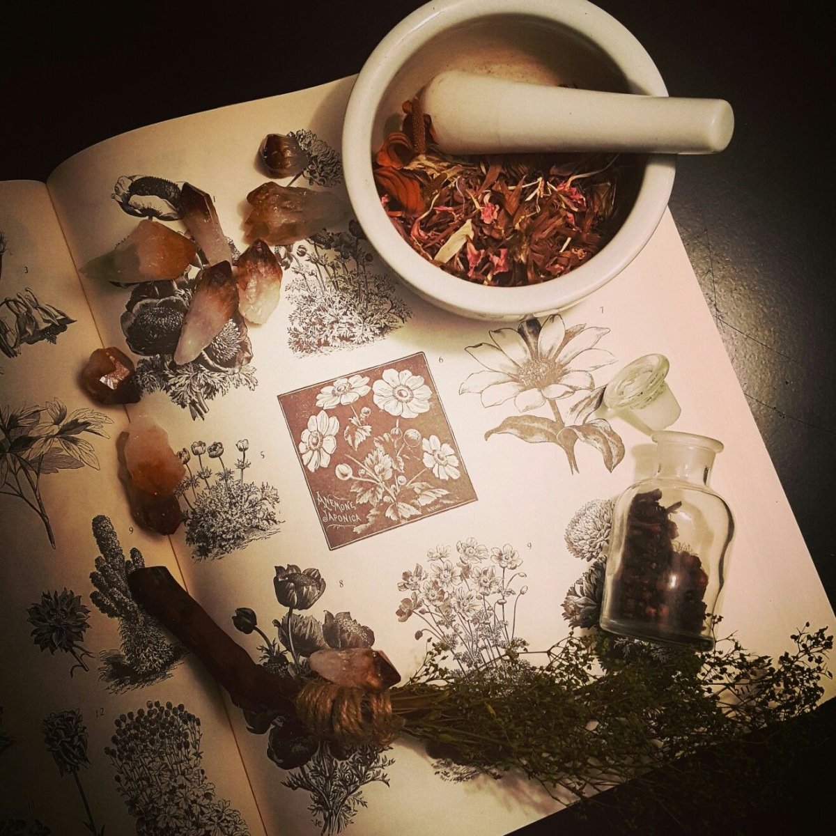 Witch aesthetic травы