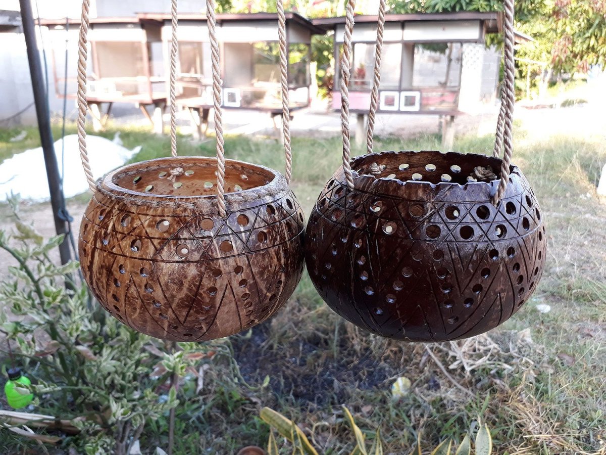 Кормушка из скорлупы кокоса