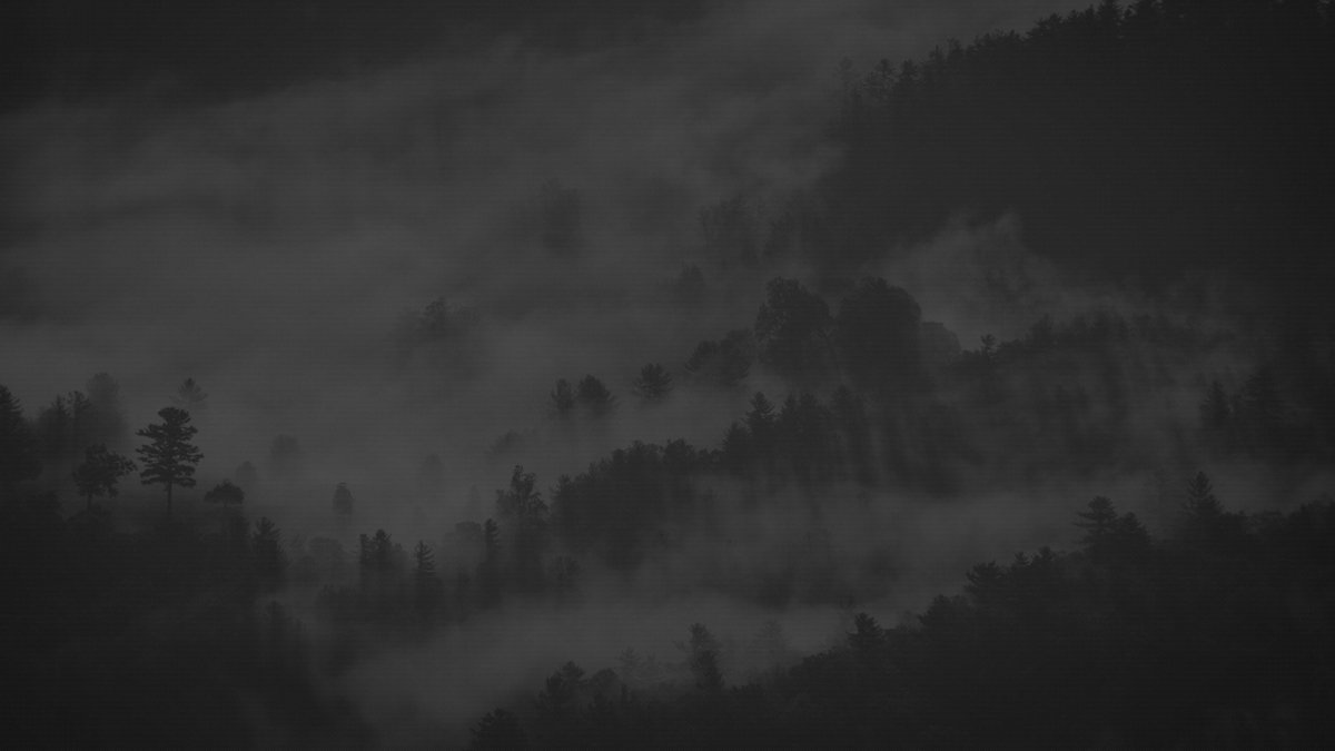 Мрачная природа