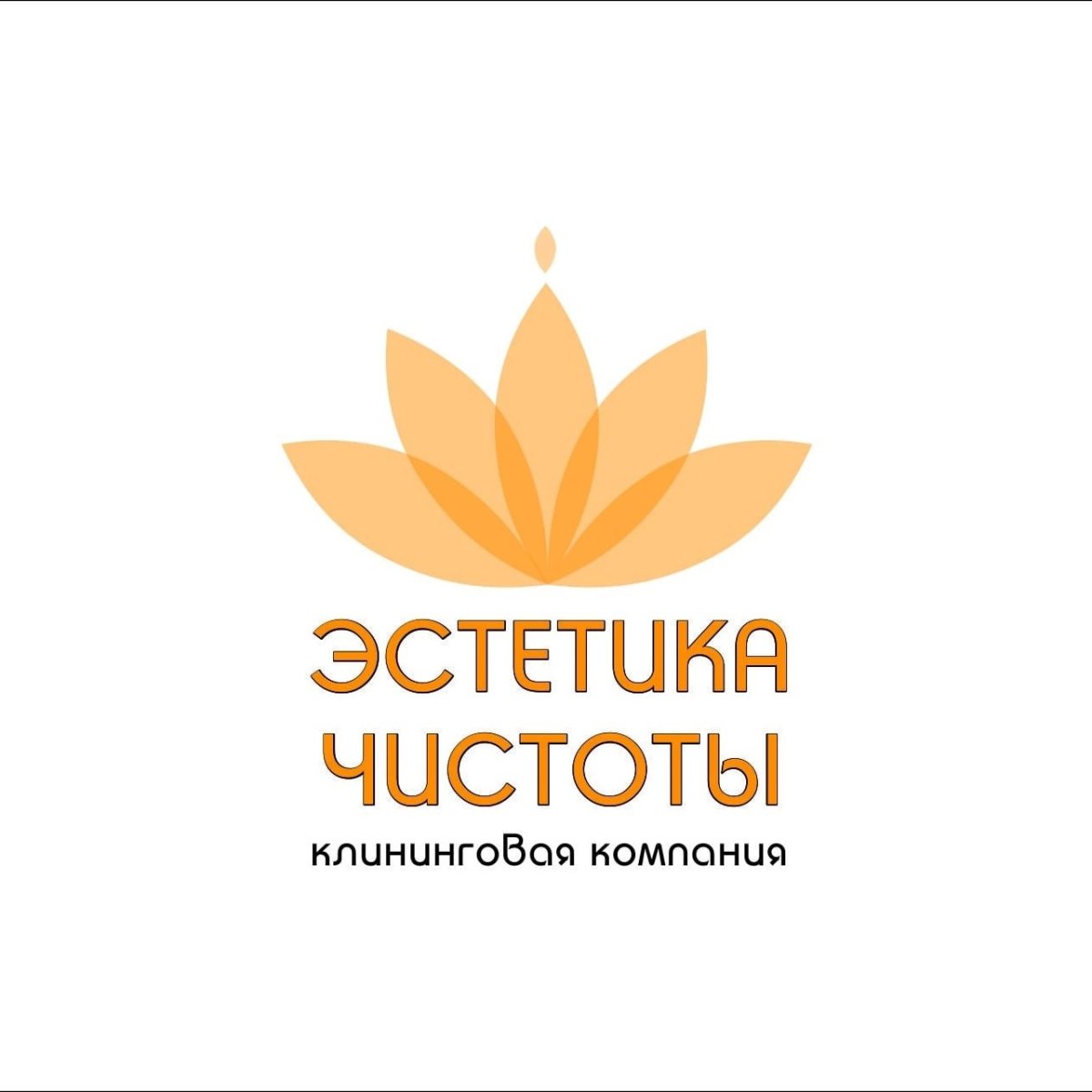 Эстетическая чистота