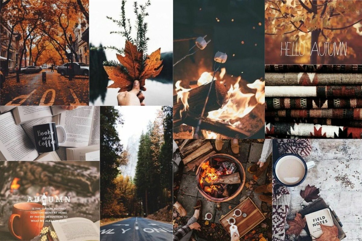 Эстетика осени коллаж