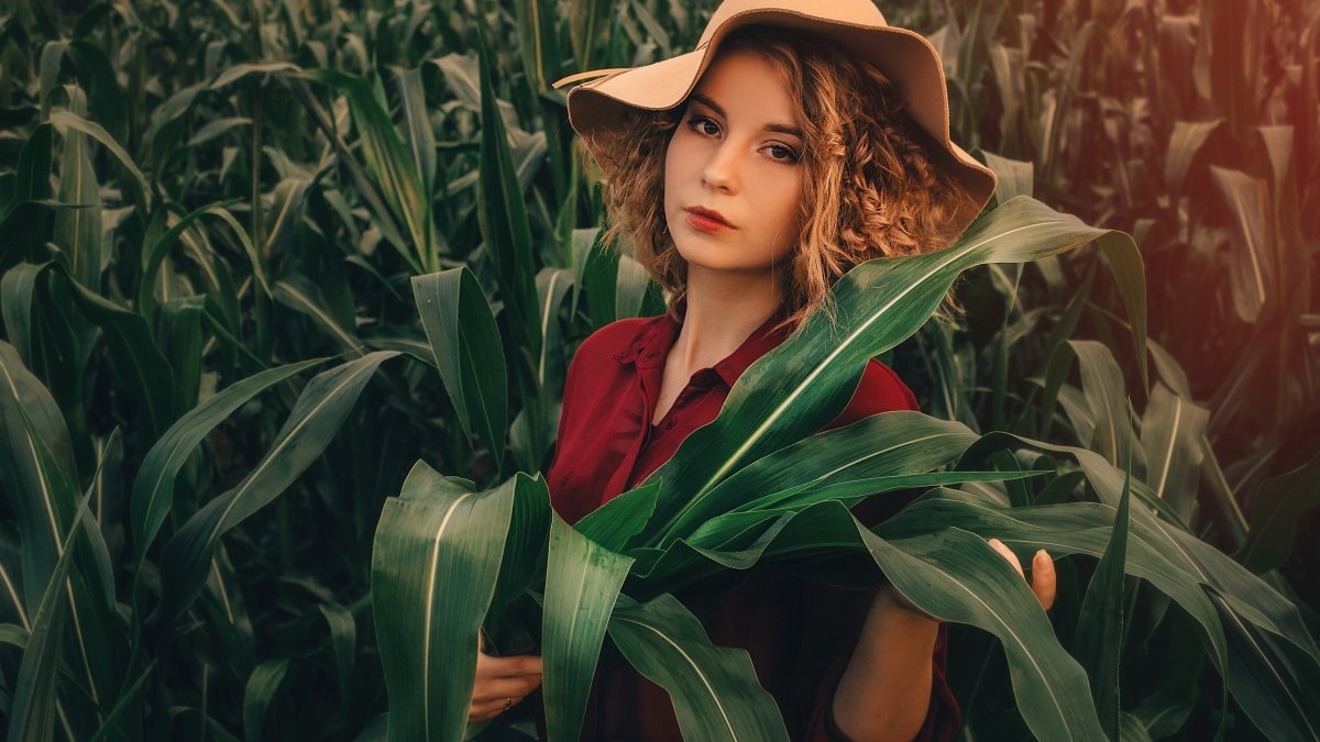 Фотосессия в кукурузном поле
