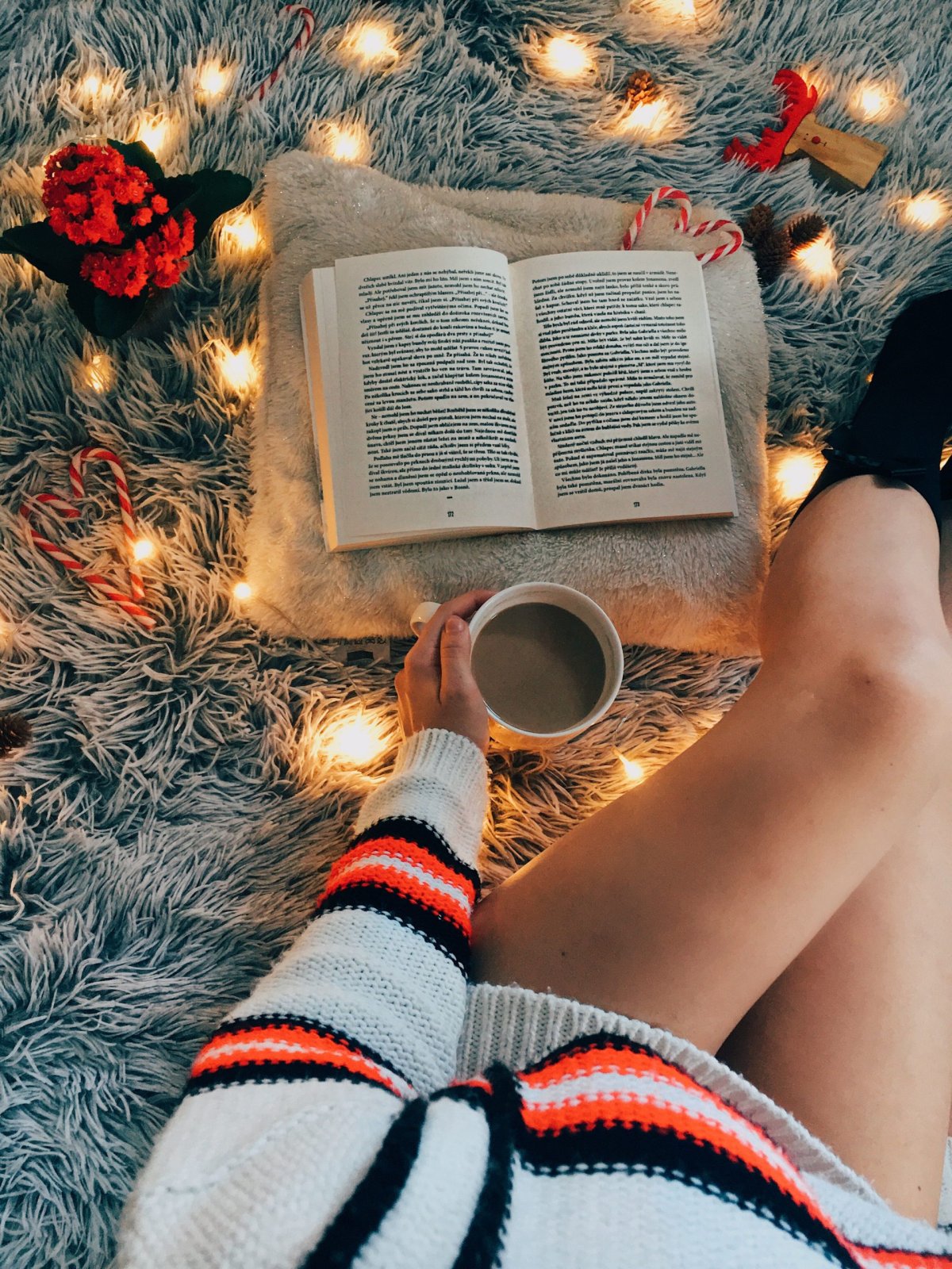 Книги зима