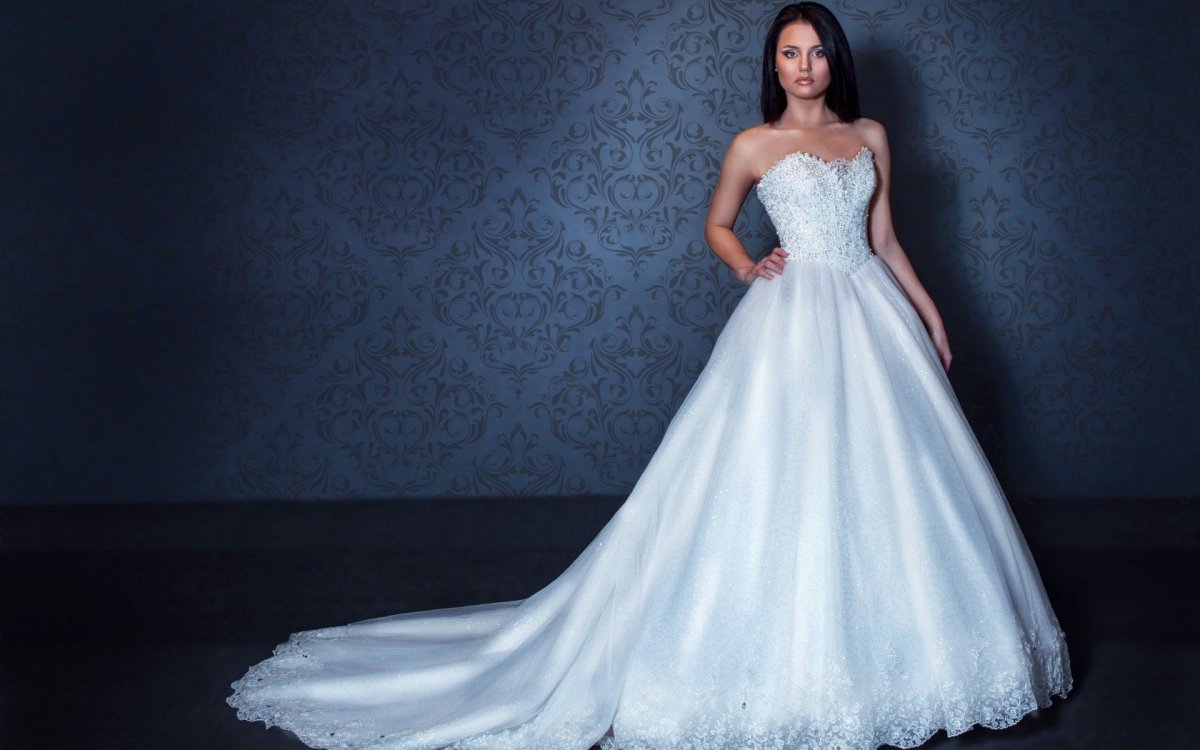 Терра novia