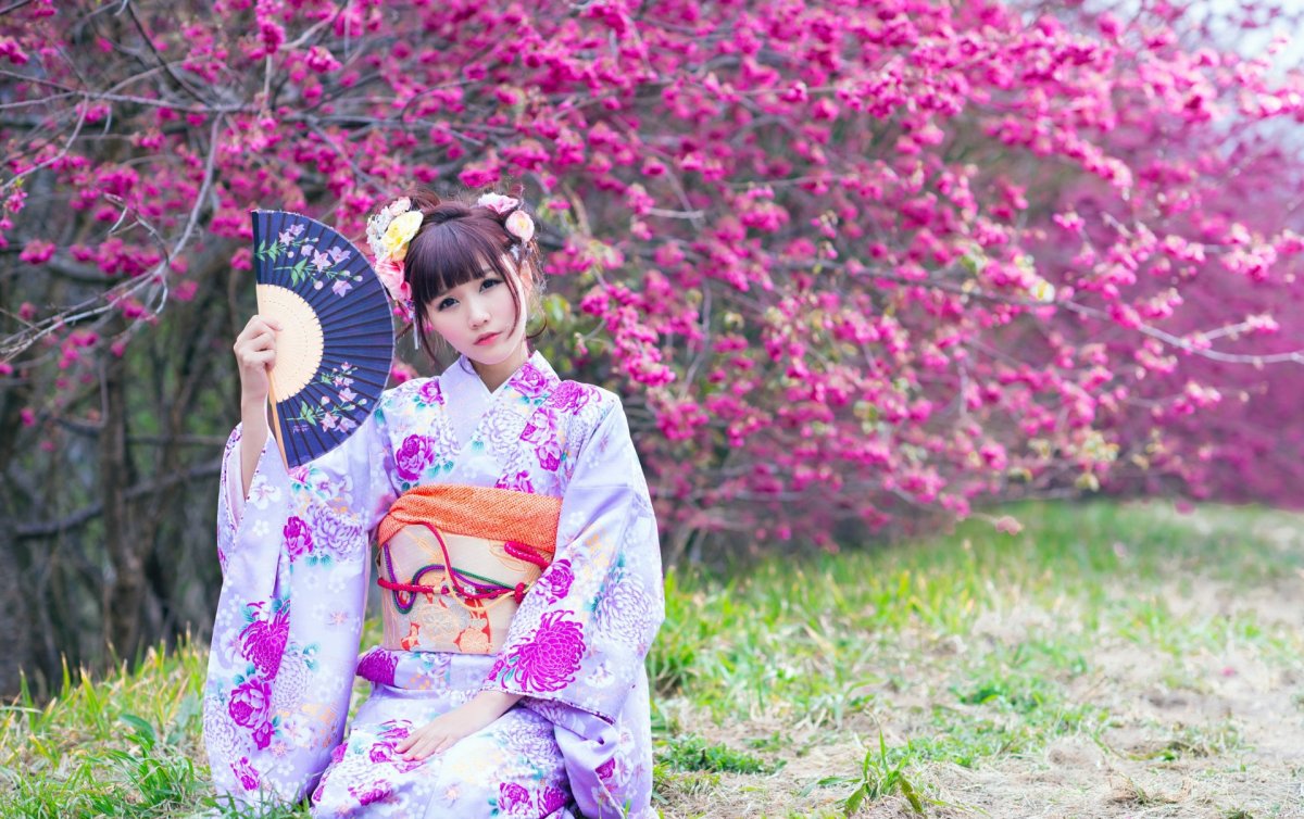 Кимоно Sakura