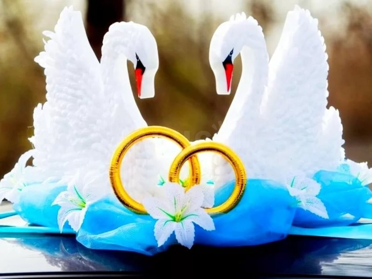 Свадебные лебеди