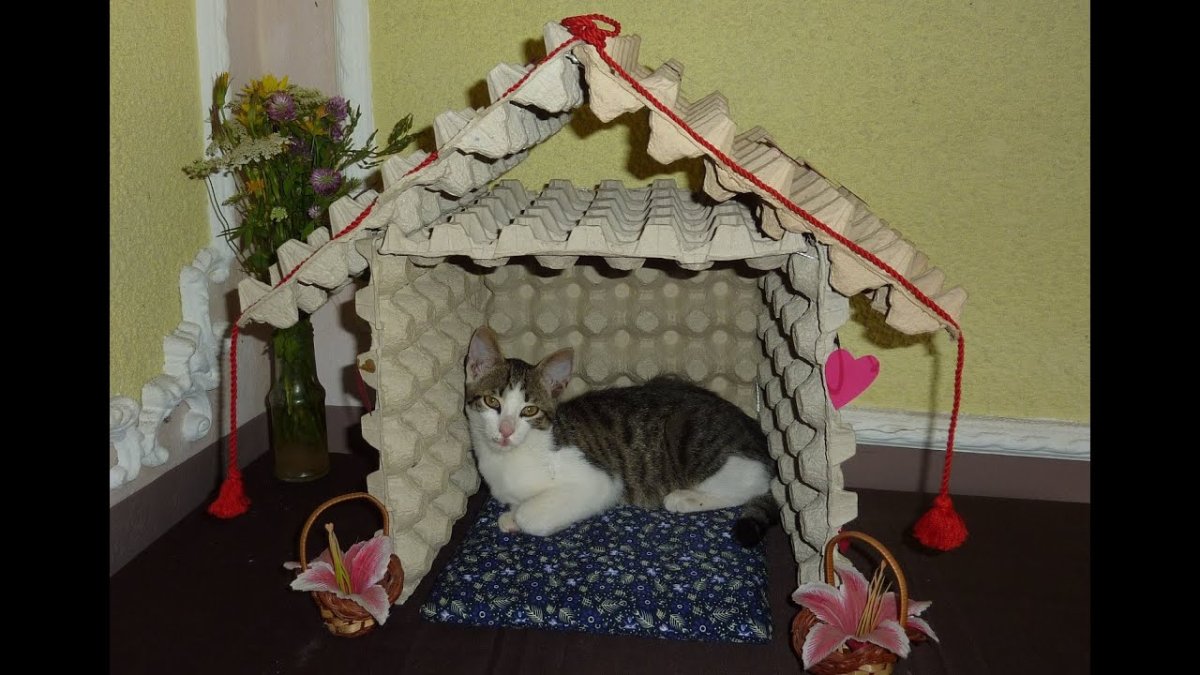 Кошкин домик из коробок