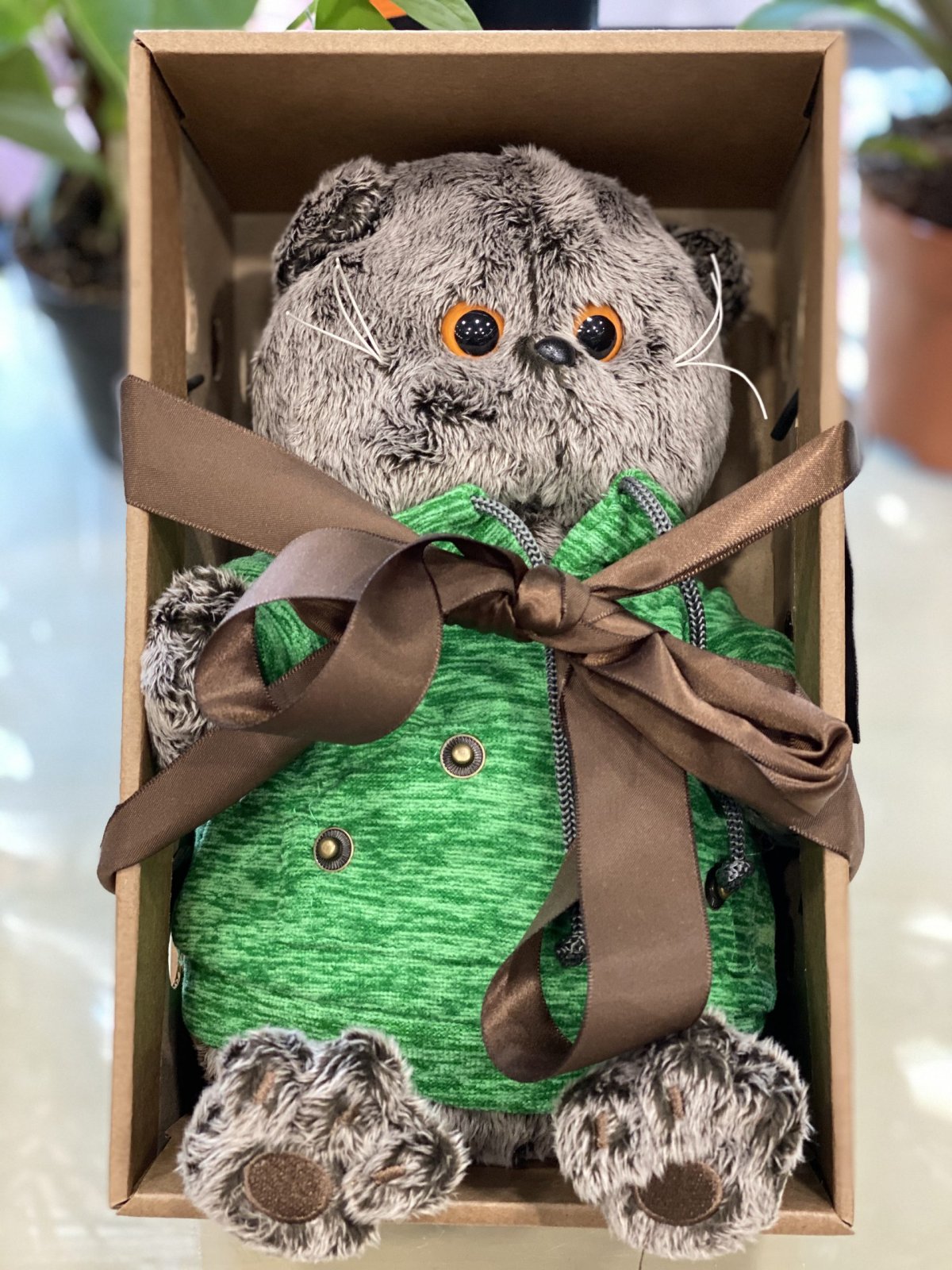 Кот Басик каратист
