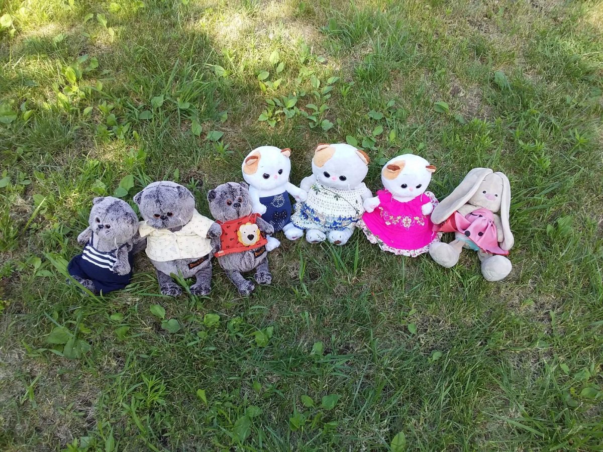 Беби Басика