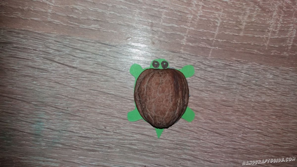 Поделки из скорлупок макадамии