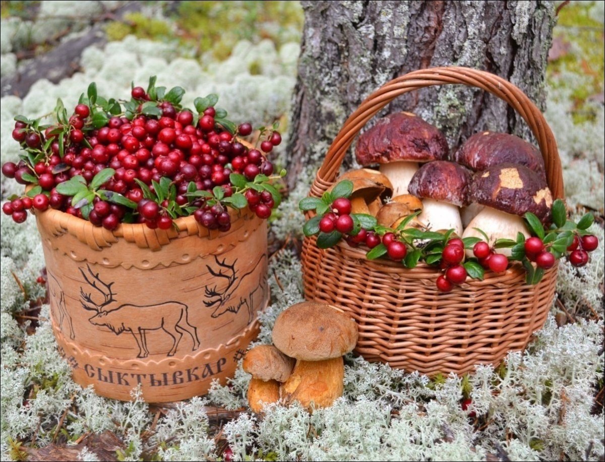 Корзинка с грибами и ягодами