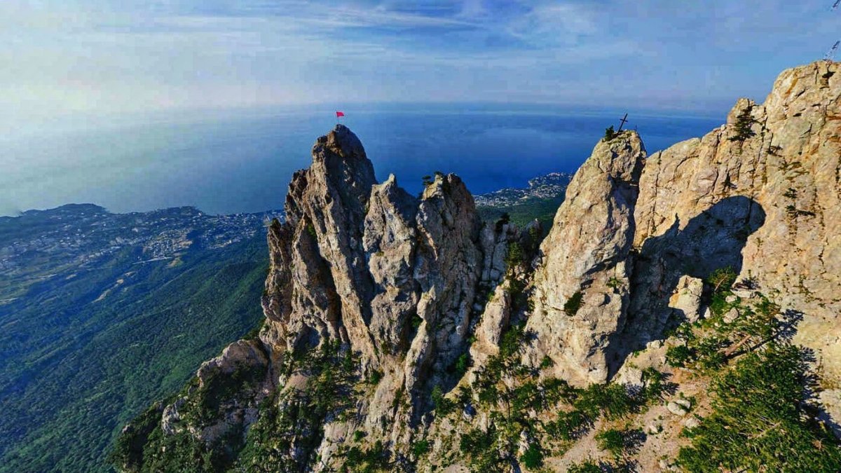 Лес гора ай Петри