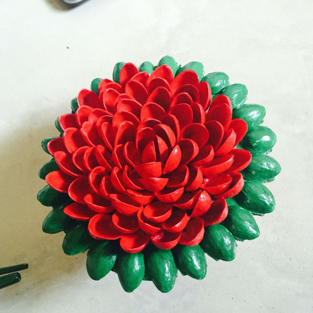 Суккуленты из фисташковых скорлупок
