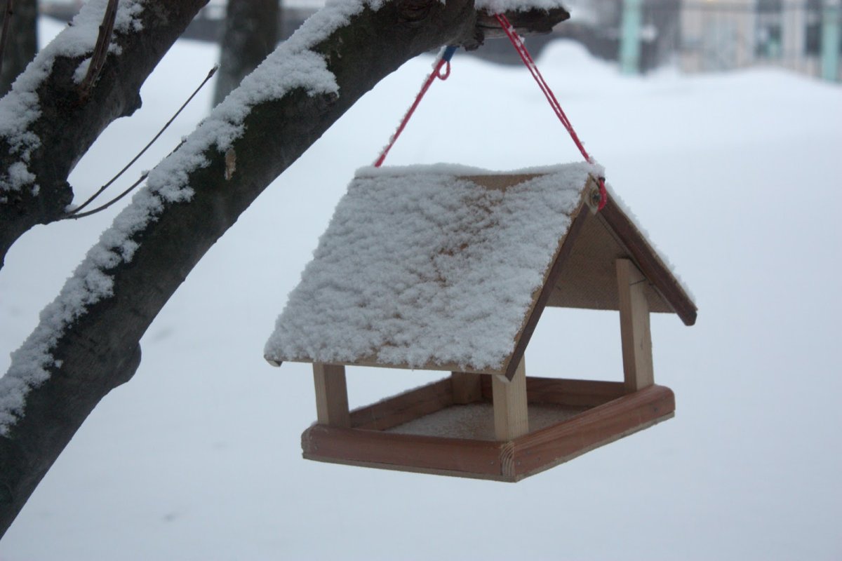 Кормушки из пластиковых бутылок