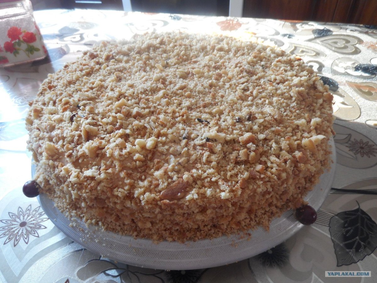 Торт Дамский каприз медовый