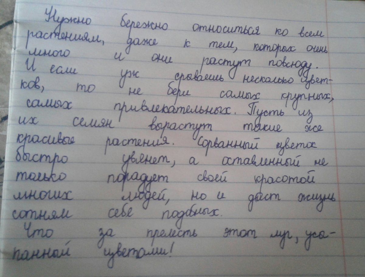 Конфеты от которых