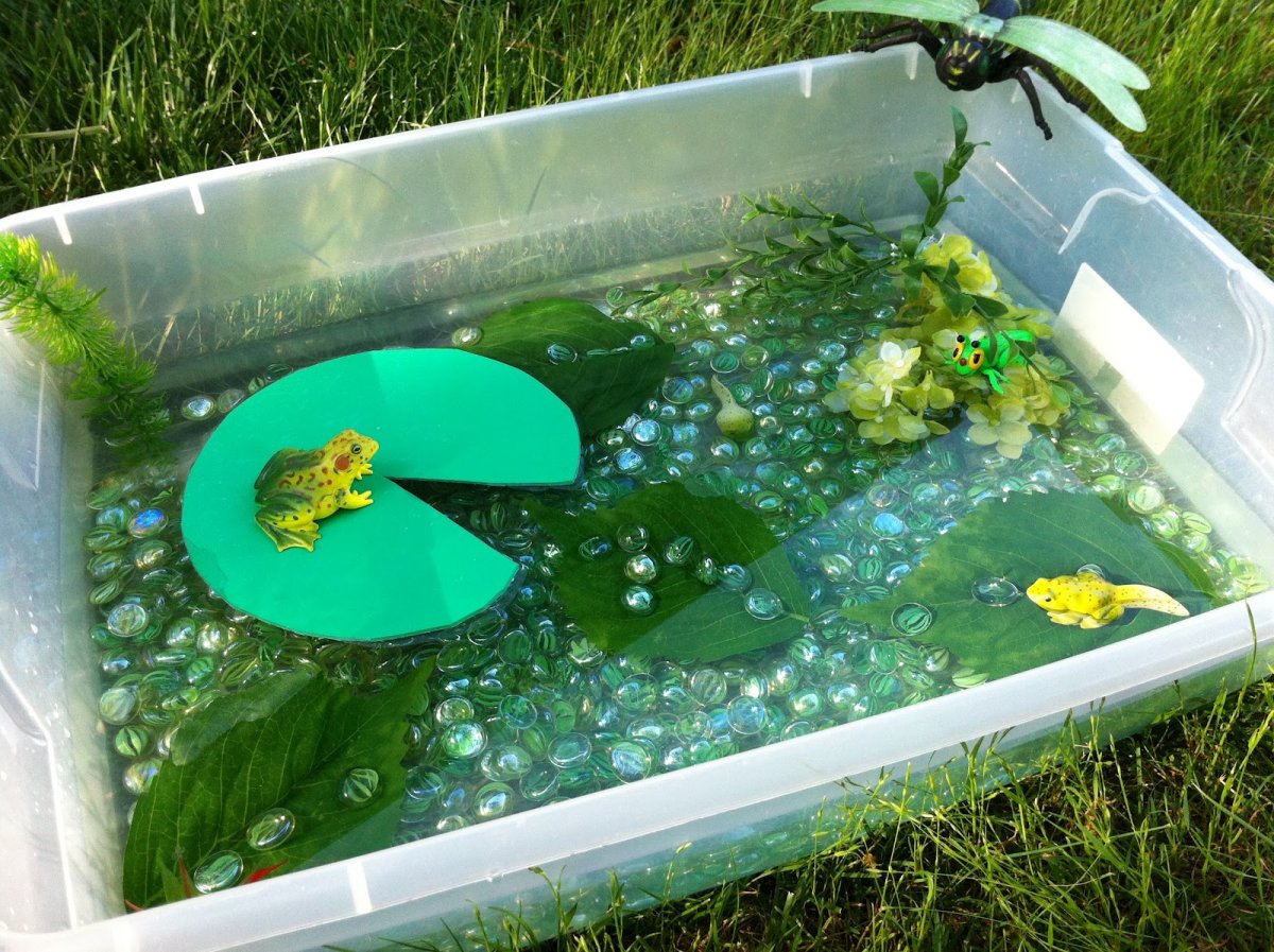 Сенсорная коробка водоём