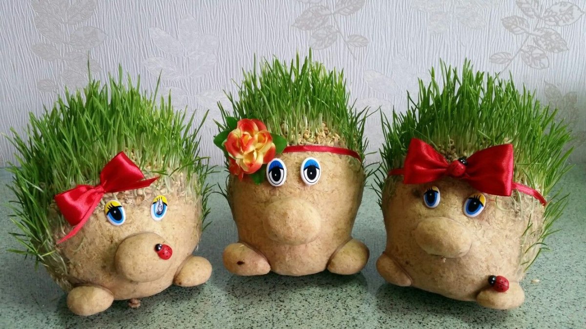 Аппликация из природного материала