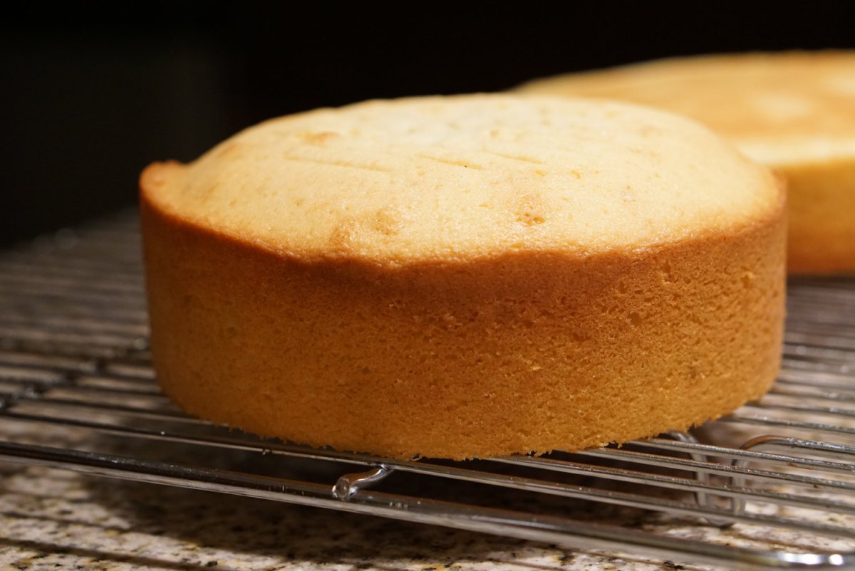 Бисквит Sponge Cake