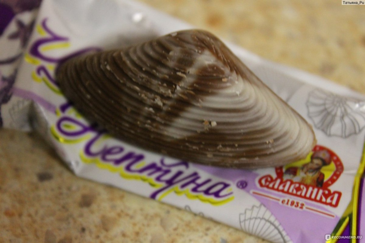 Neptune® Chocolate
