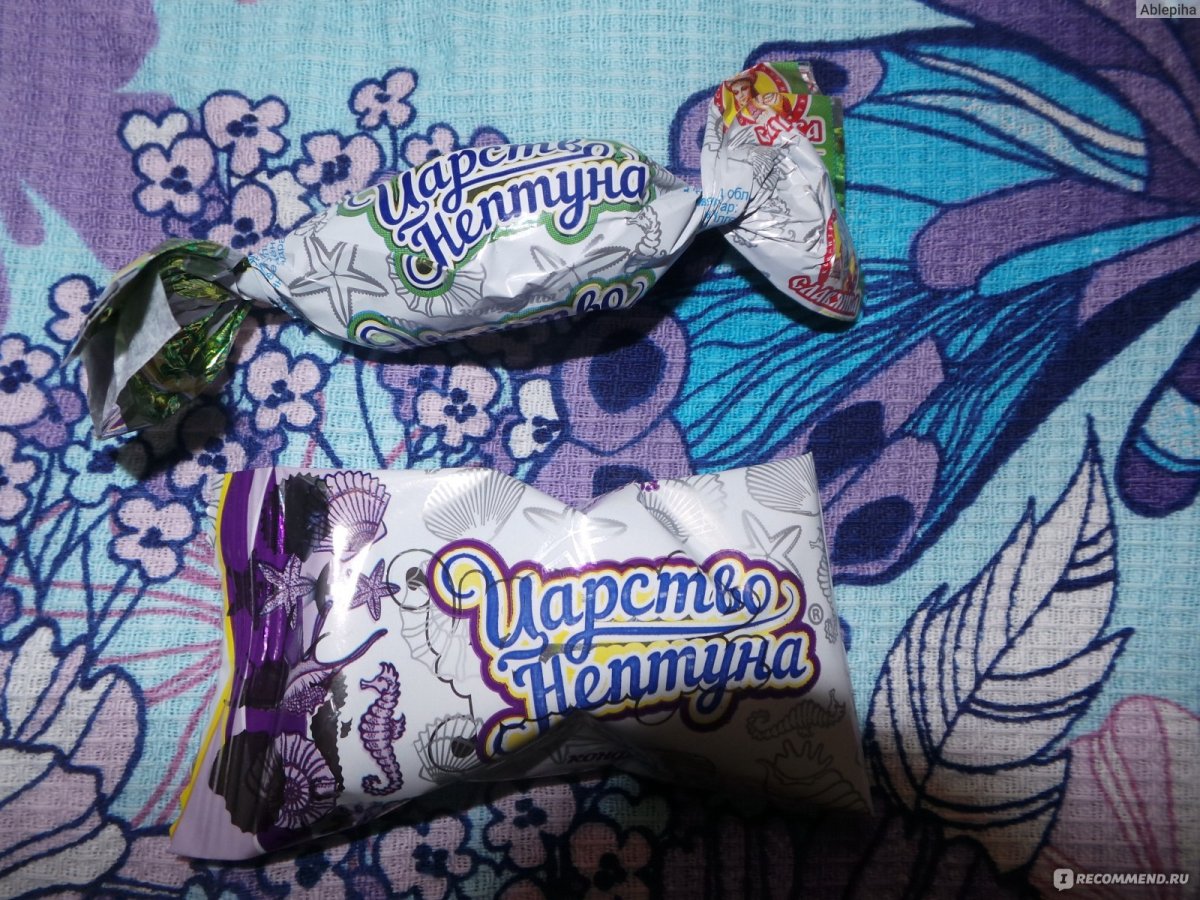 Царство Нептуна КГФЕТА