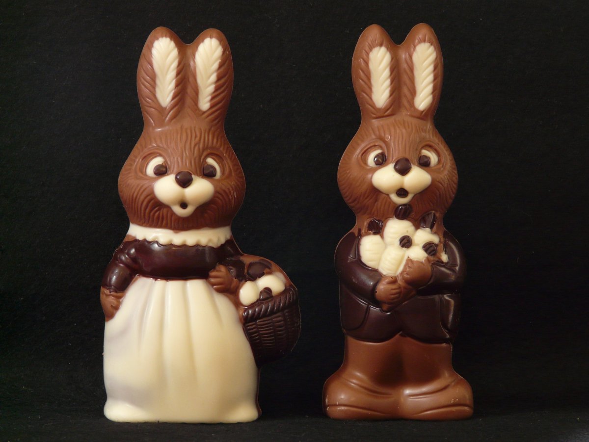 Шоколадный заяц (Chocolate Bunny)