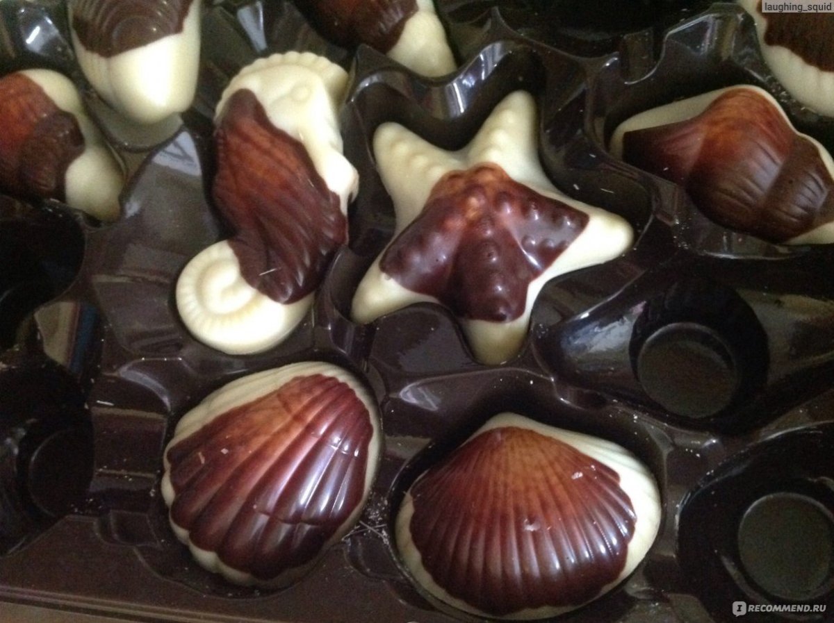 Guylian Belgian Chocolate
