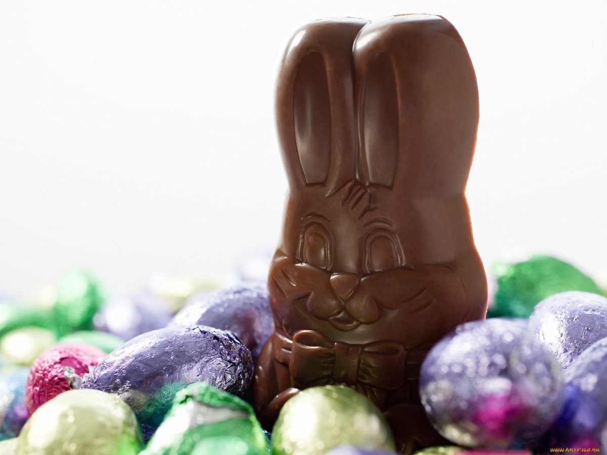Happy Easter Eggs, Chocolate, Bunny