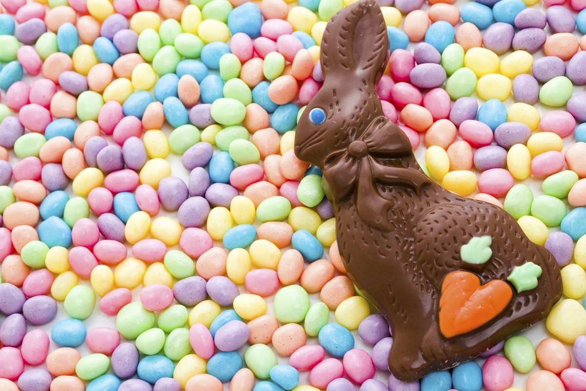 Шоколадный заяц (Chocolate Bunny)