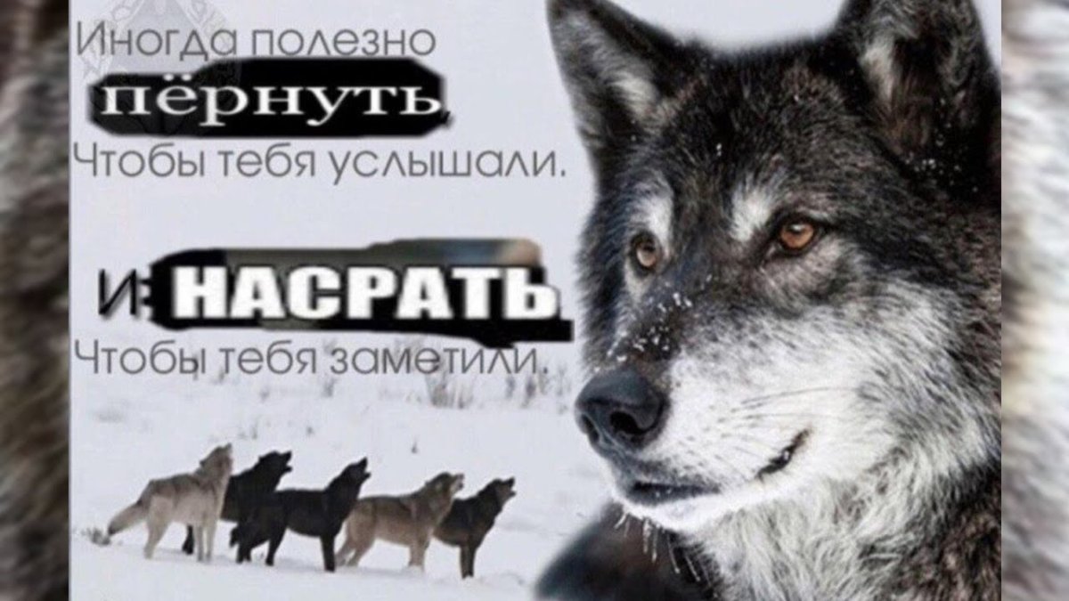 Упаковка для шоколадной плитки