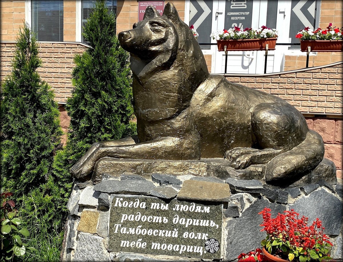 Марки шоколада