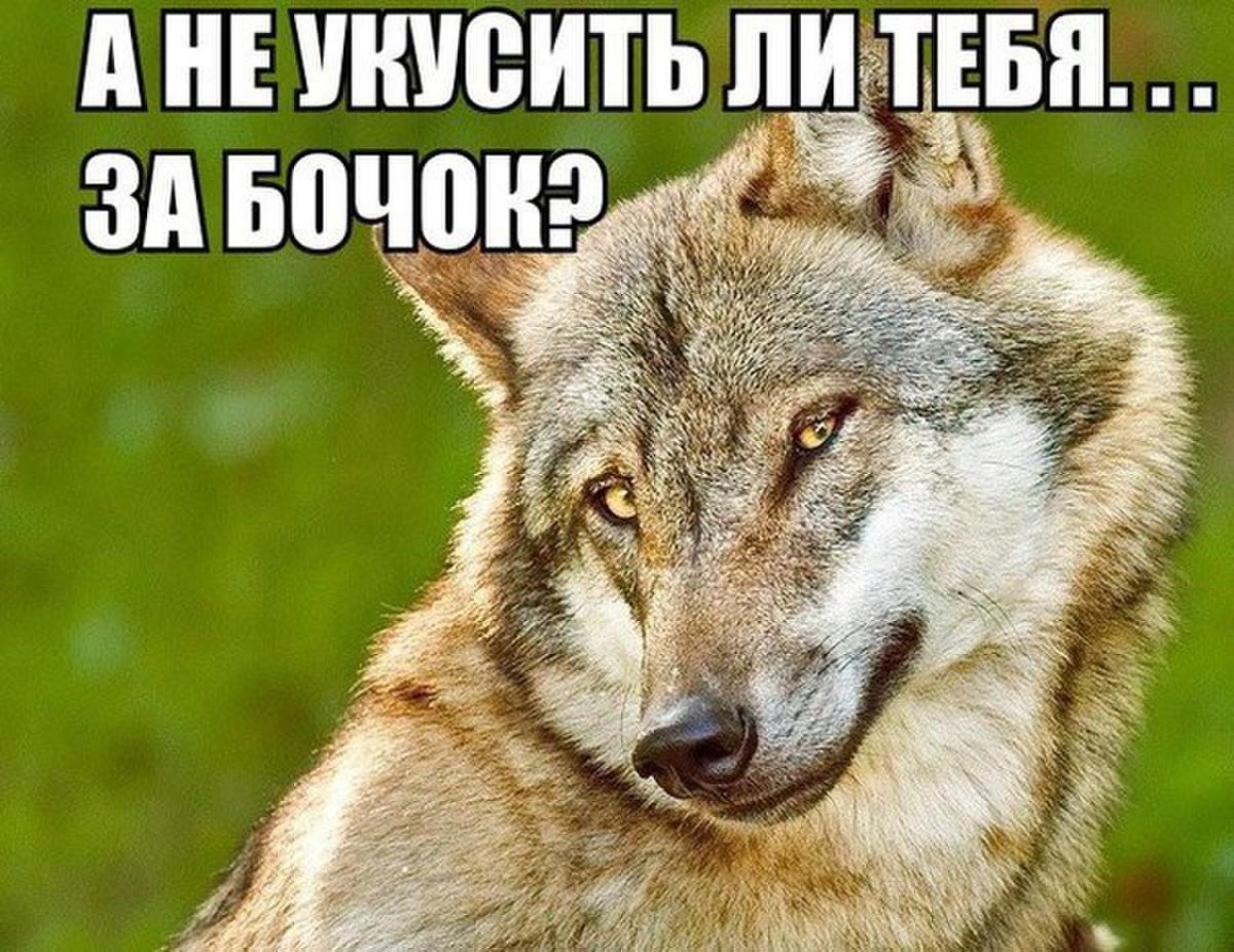 Славянка фигурный шоколад