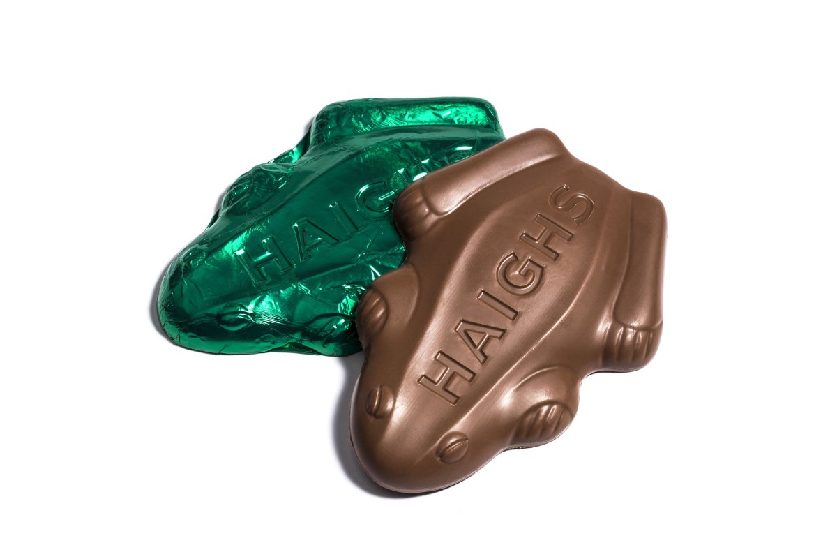 Australian Choco-Choco Frog