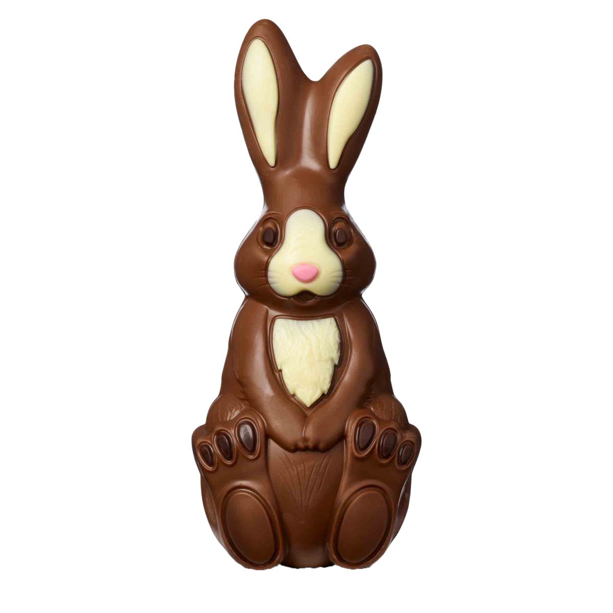 Chocolate Easter Bunny