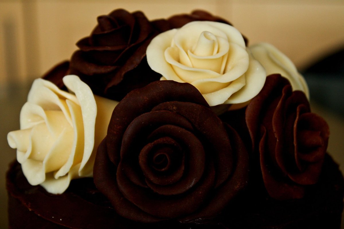 Цветы из бельгийского шоколада своими руками