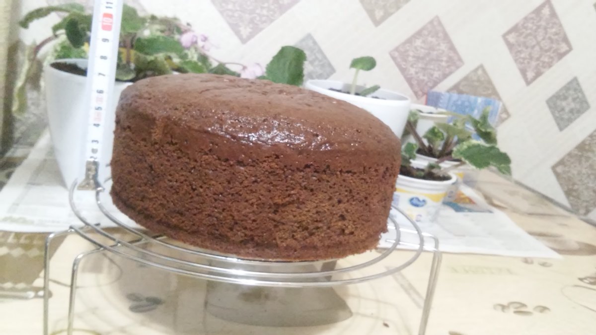 Коржи Шарлиз бисквитные