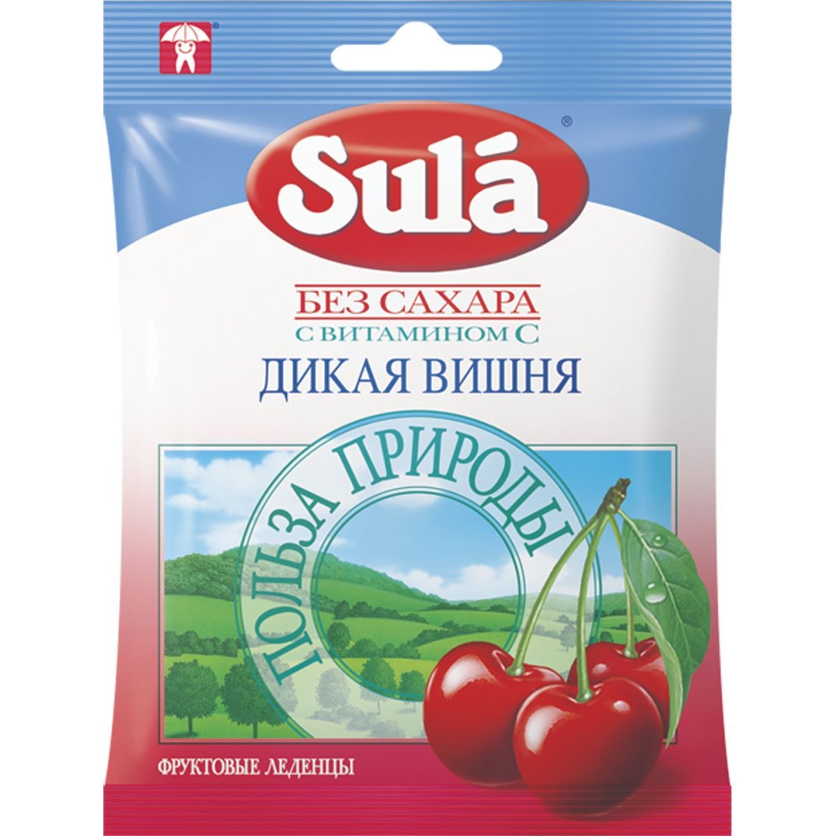Пастила конфеты без сахара