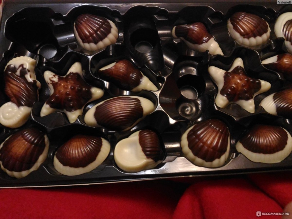 Бельгийские конфеты Belgian Seashells