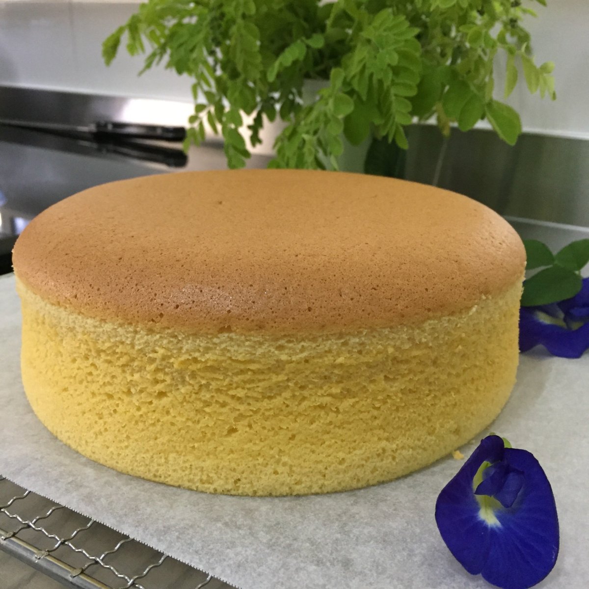 Бисквит Sponge Cake