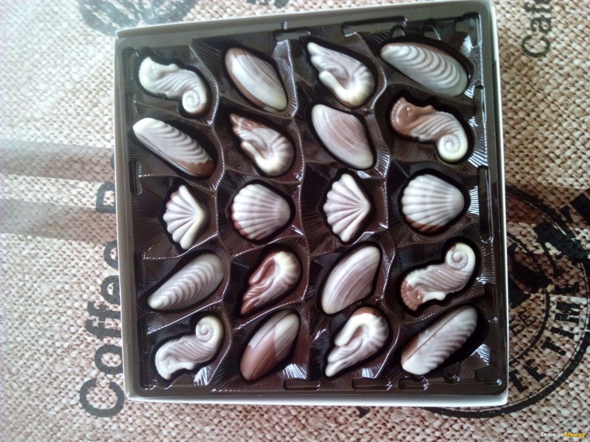 Шоколадные конфеты морские ракушки