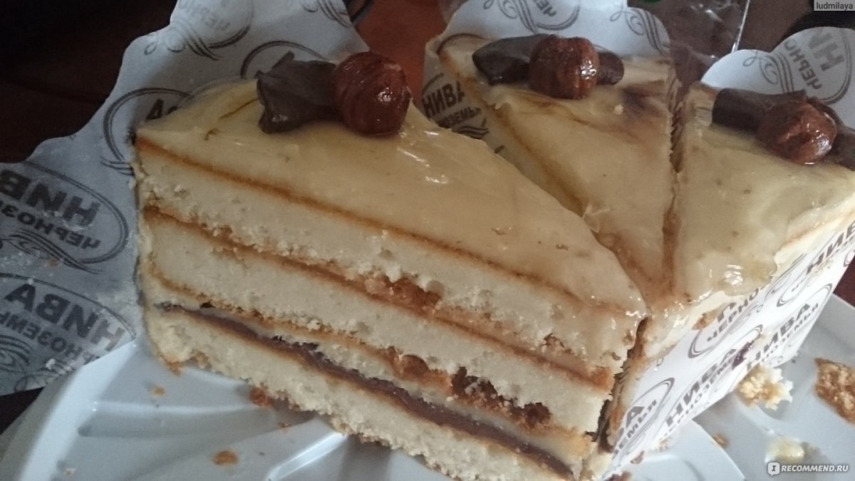 Торт с медовыми коржами и кремом чиз