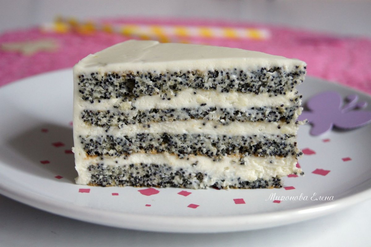 Seed Cake фотосток