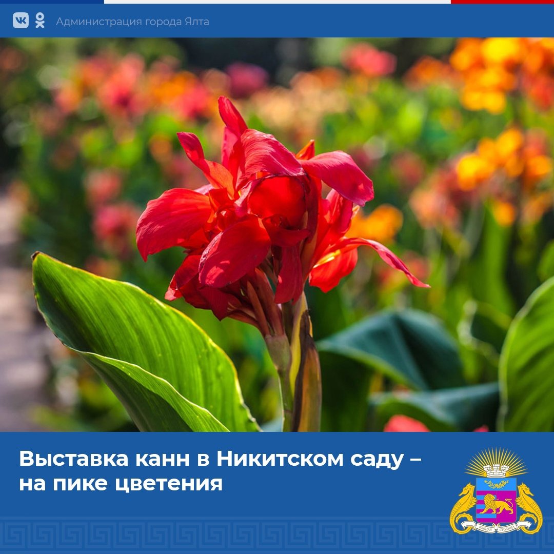 Канны Херсонская область