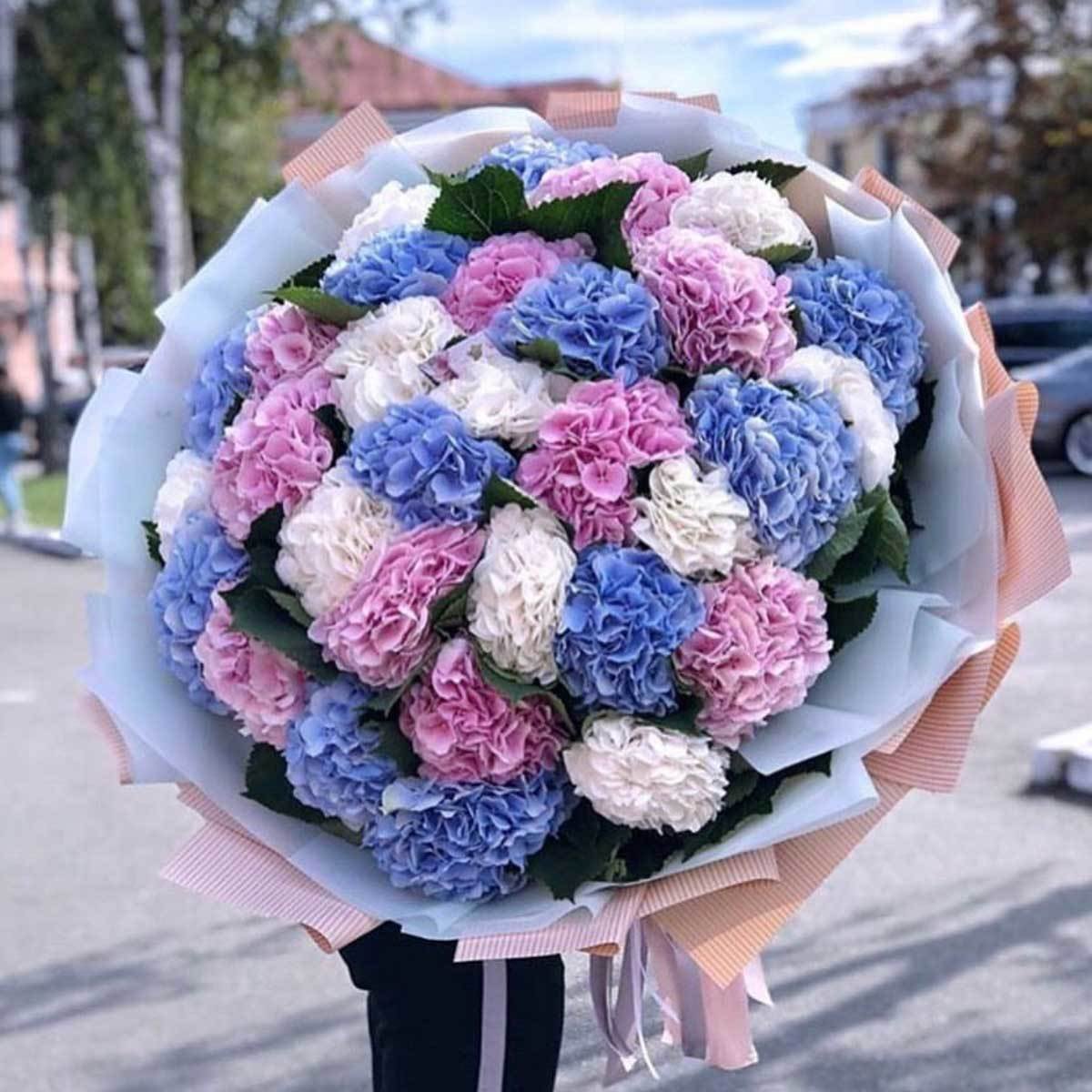Флоревиль гортензия