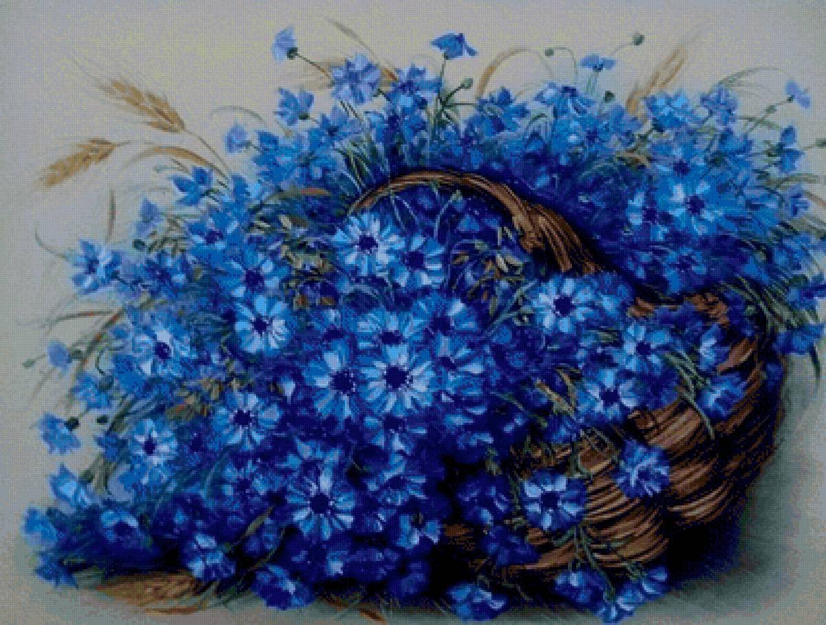 Художник Barbara Siewierska