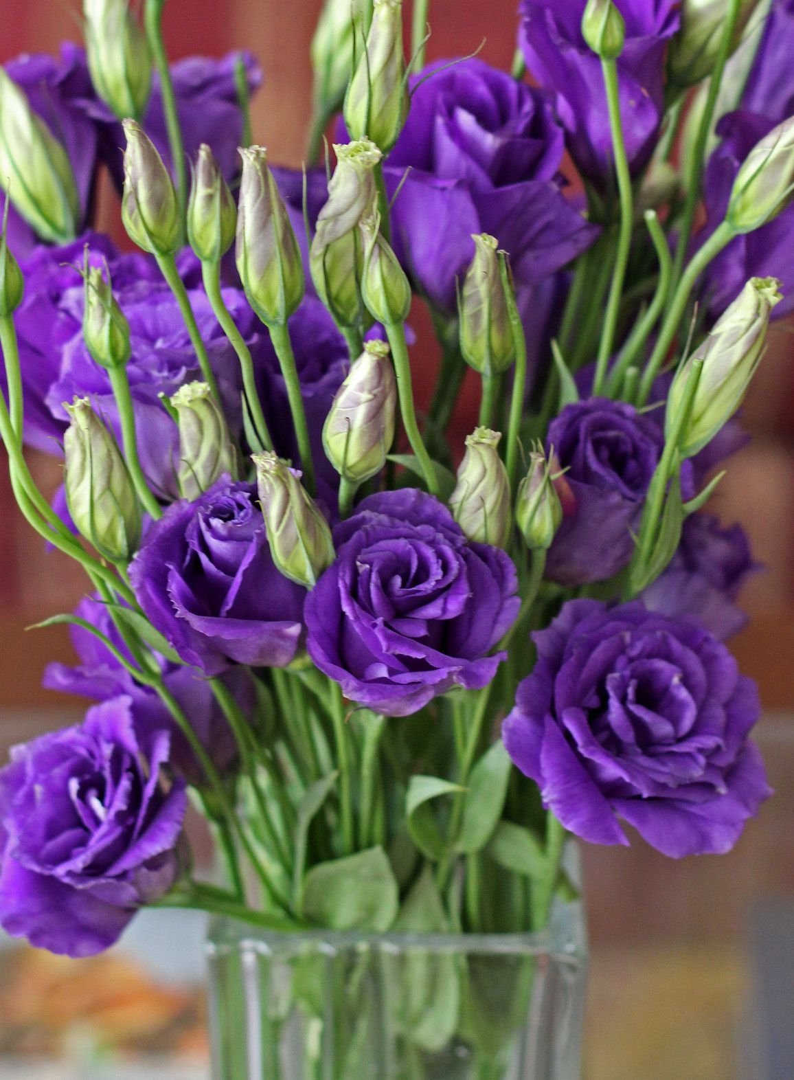 Эустома (Lisianthus)